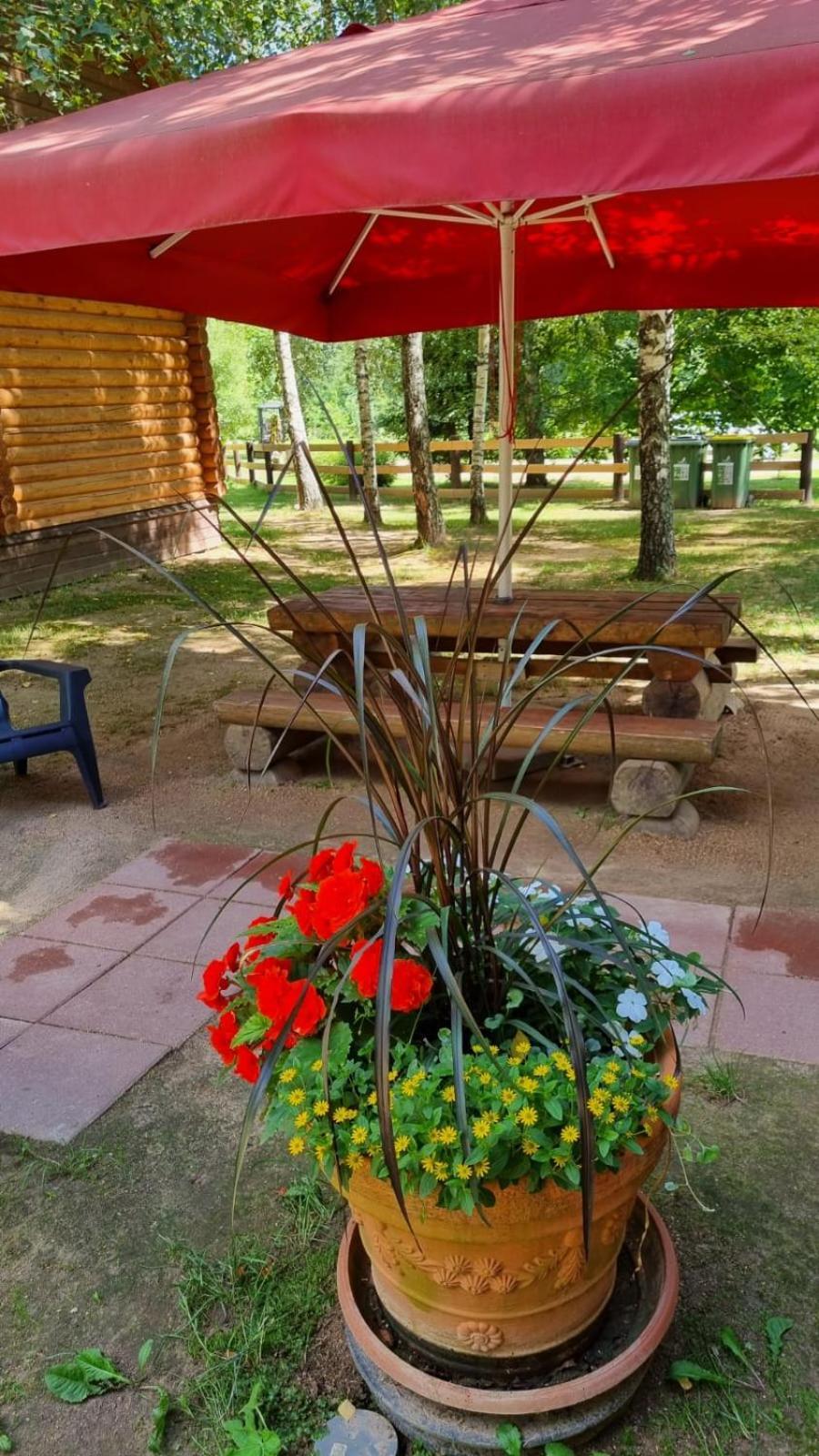 Camping Oskalns Cesis Luaran gambar